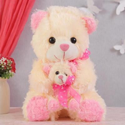 Soft & Cuddly Teddy Bear